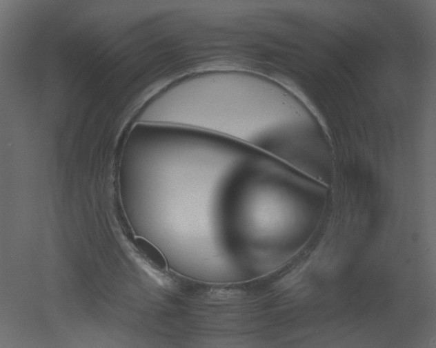 X0000051880437200506241417
