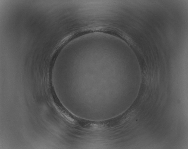 X0000051880442200506241418