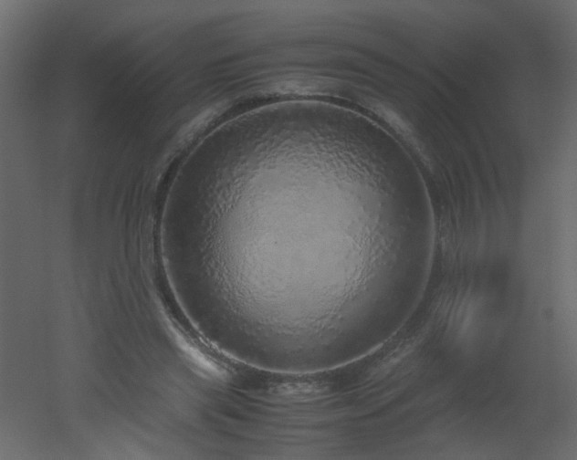 X0000051880445200506241418
