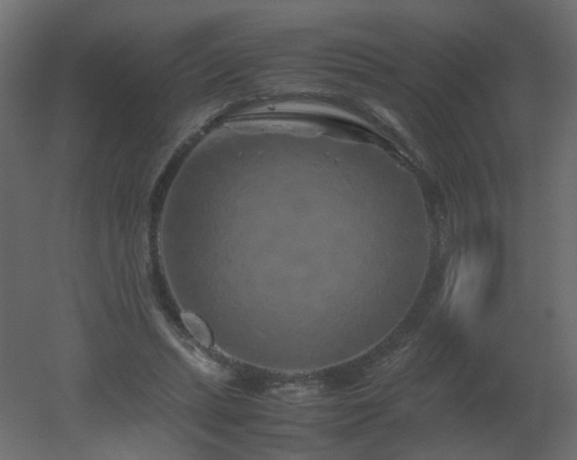 X0000051880447200506241418