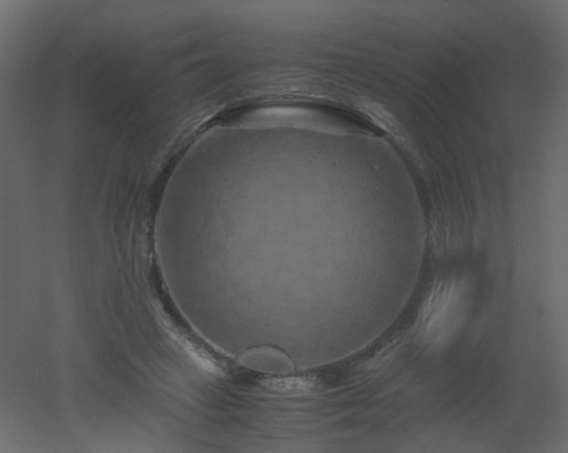 X0000051880449200506241418