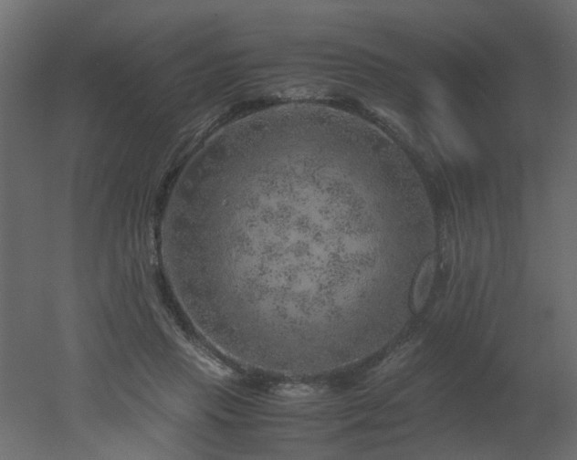 X0000051880453200506241418