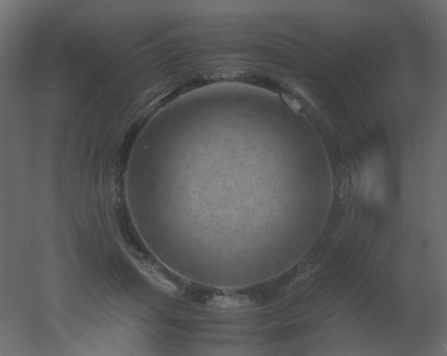 X0000051880455200506241418