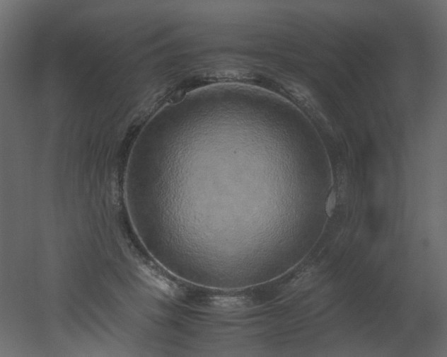 X0000051880457200506241418