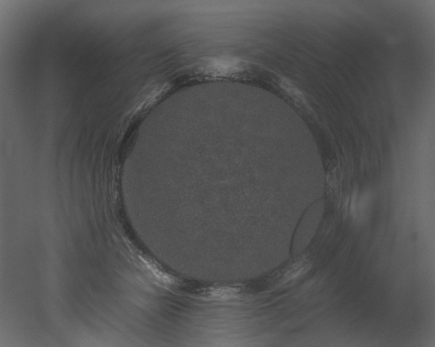 X0000051880462200506241418