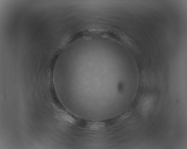 X0000051880463200506241418