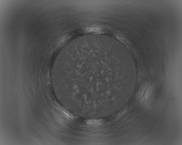 X0000051880465200506241418