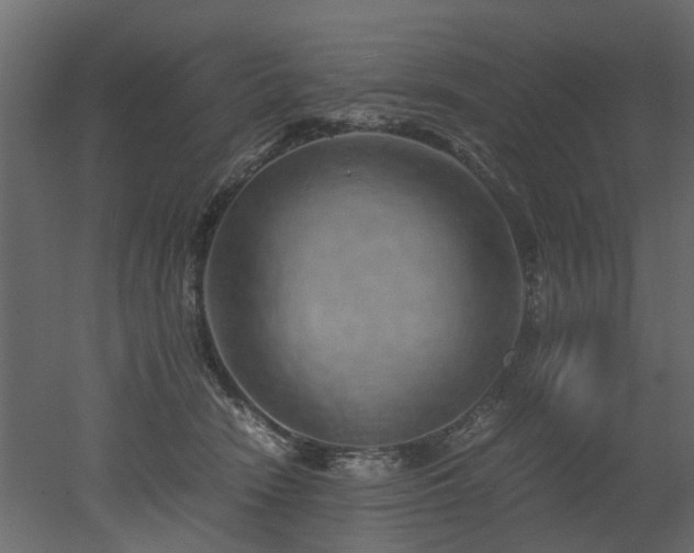 X0000051880466200506241418