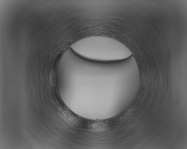 X0000051880468200506241418