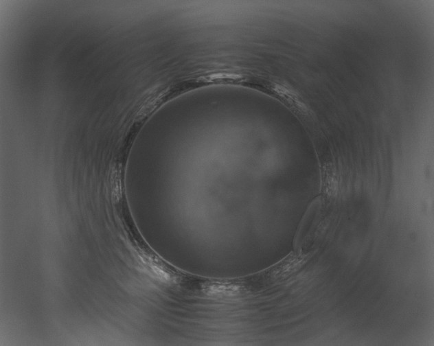 X0000051880471200506241418
