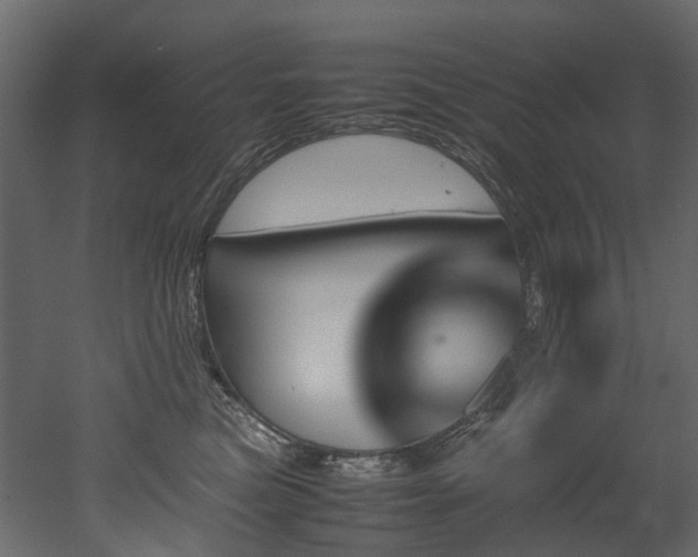 X0000051880473200506241418
