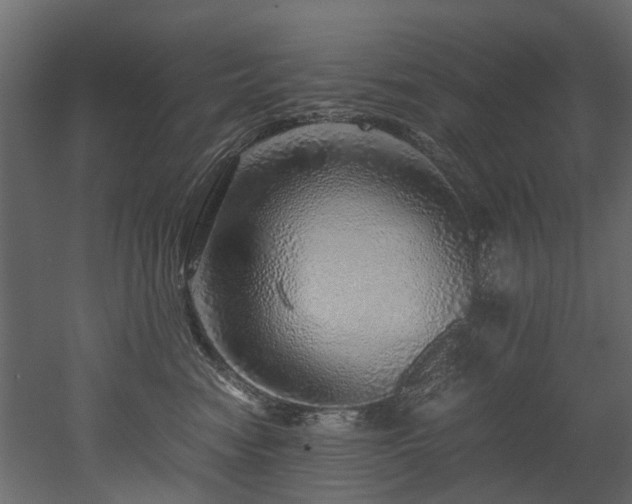 X0000051880474200506241418