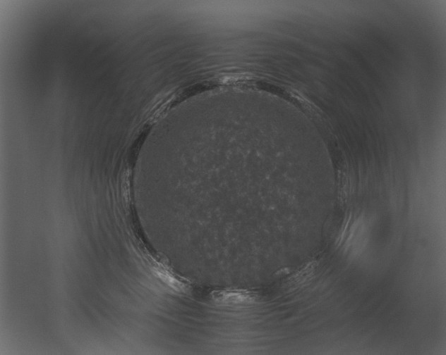 X0000051880475200506241418