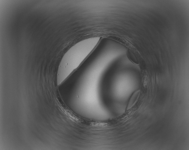 X0000051880476200506241418