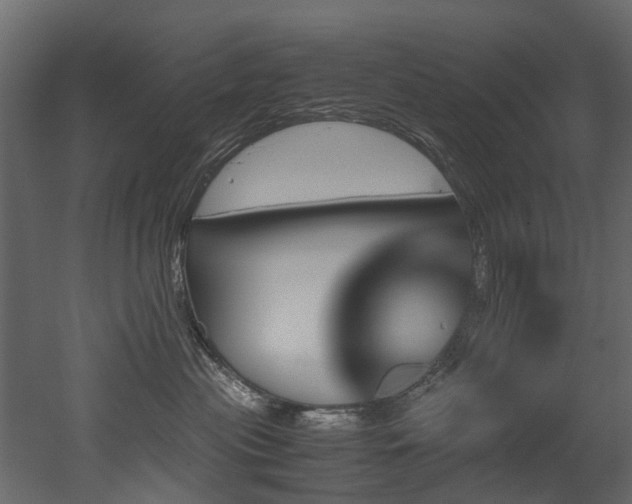 X0000051880477200506241418