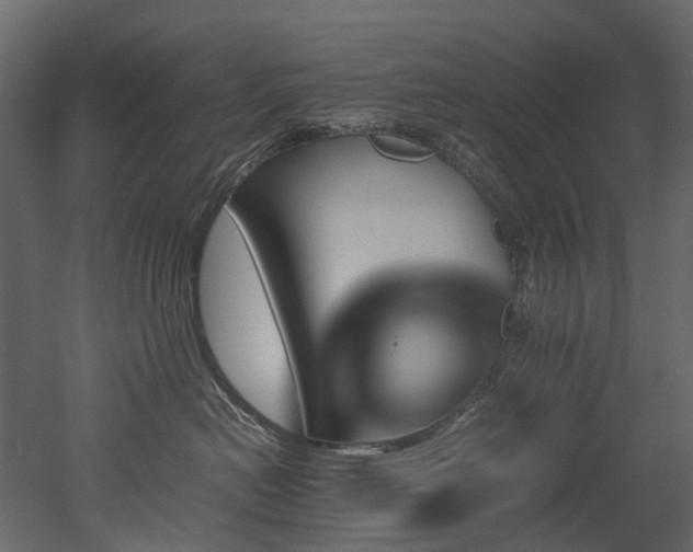 X0000051880478200506241418