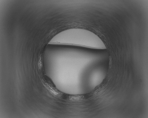 X0000051880479200506241418