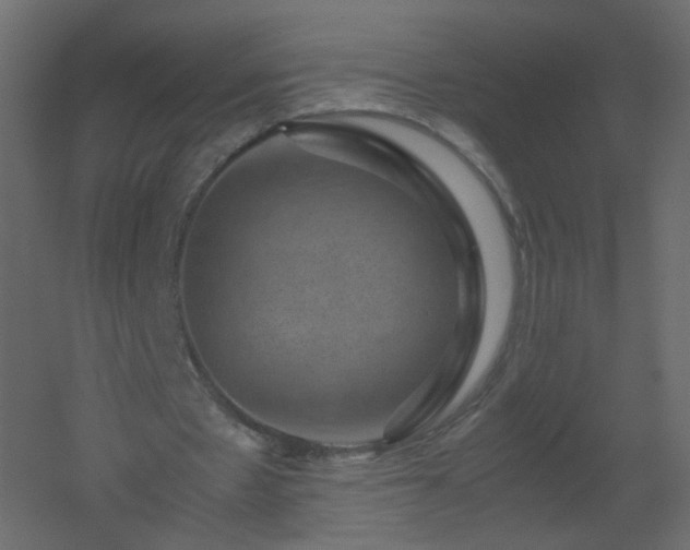 X0000051880481200506241417