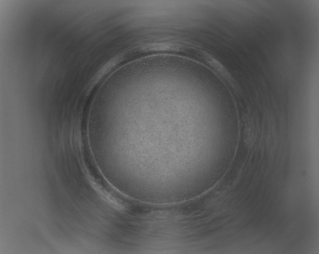 X0000051880482200506241417
