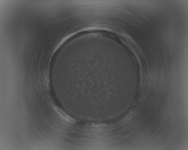 X0000051880484200506241417