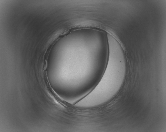 X0000051880485200506241417