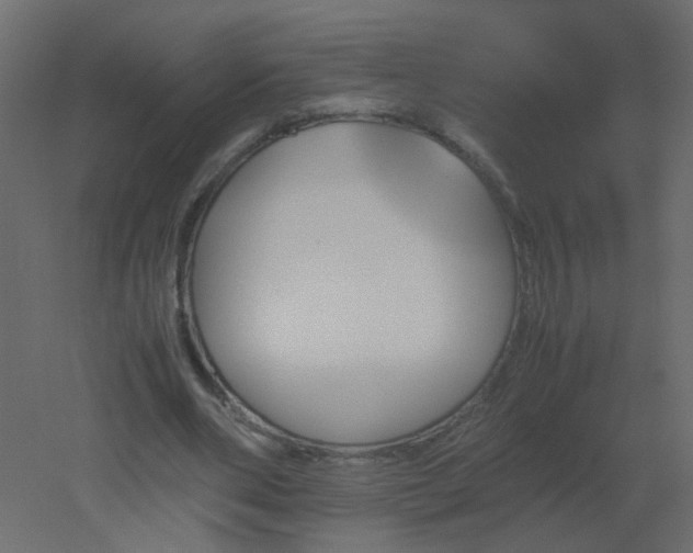 X0000051880486200506241417