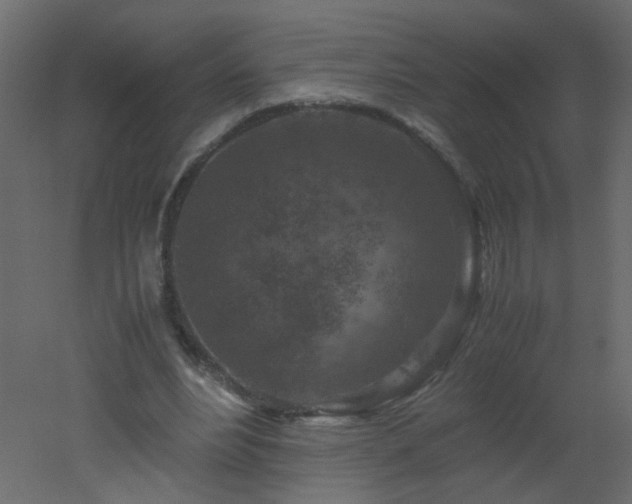 X0000051880488200506241417