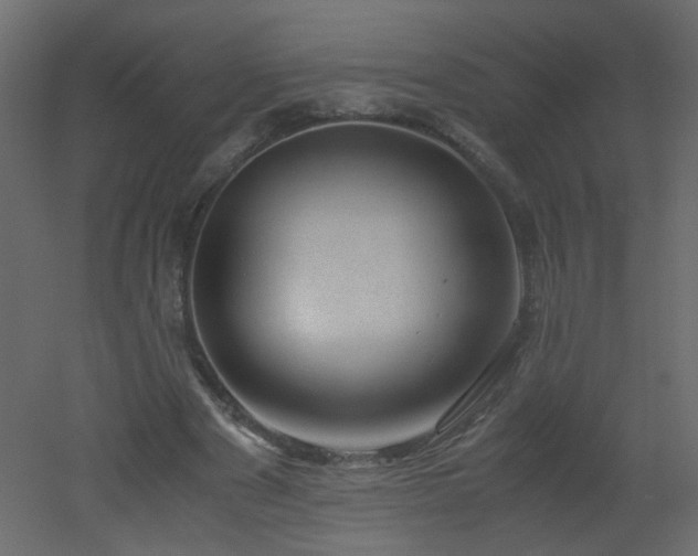 X0000051880489200506241417