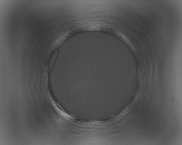 X0000051880493200506241417