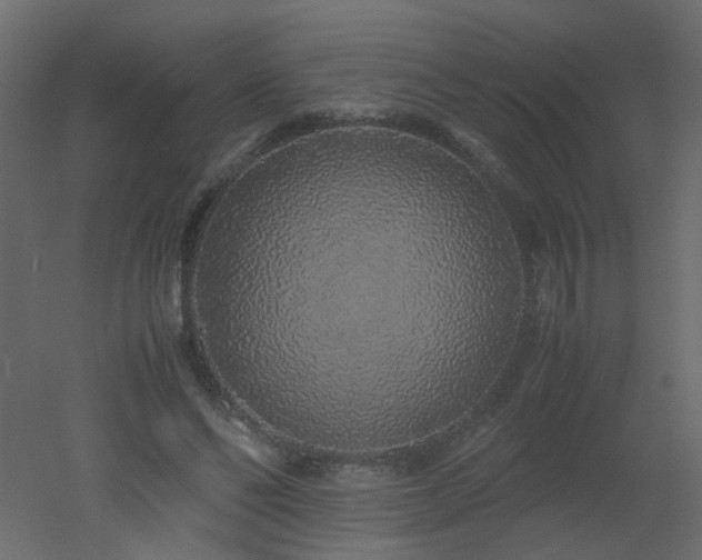 X0000051880494200506241417