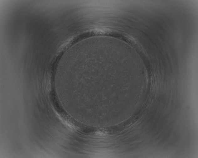 X0000051880496200506241417
