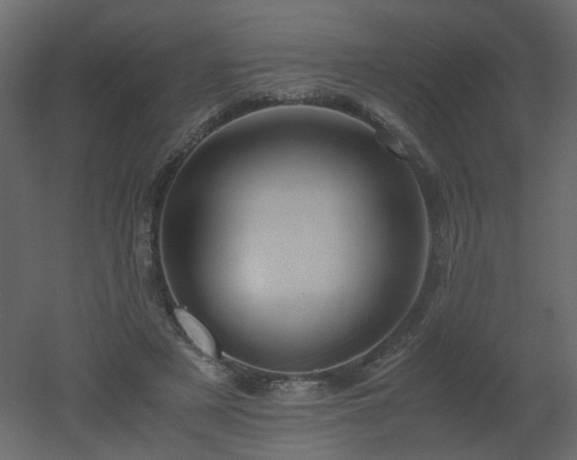 X0000051880497200506241417