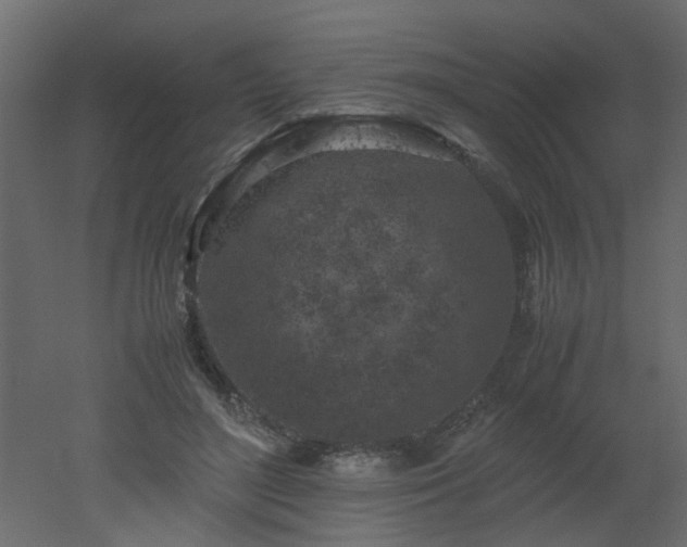 X0000051880500200506241417