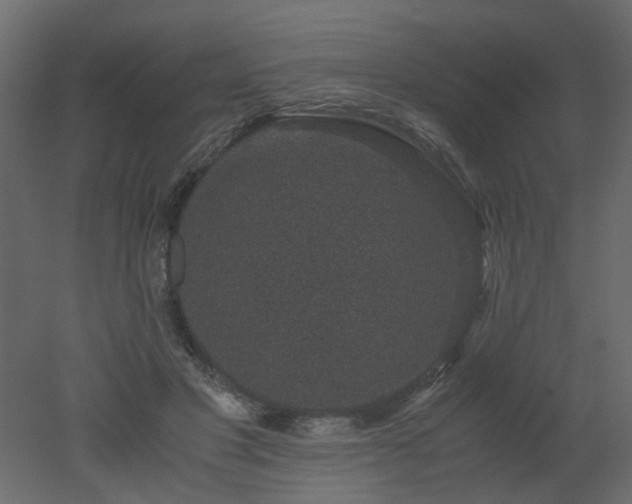 X0000051880501200506241417
