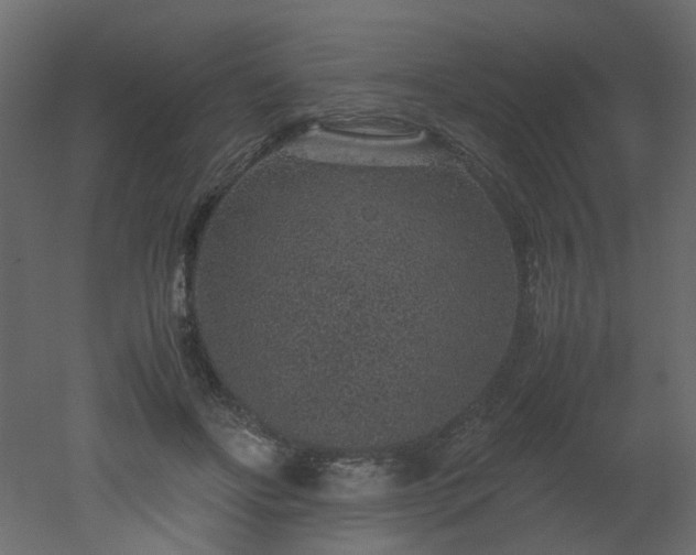X0000051880502200506241417
