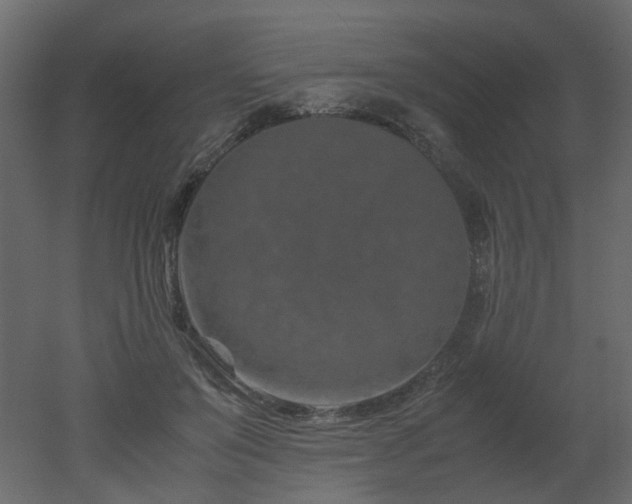 X0000051880503200506241417