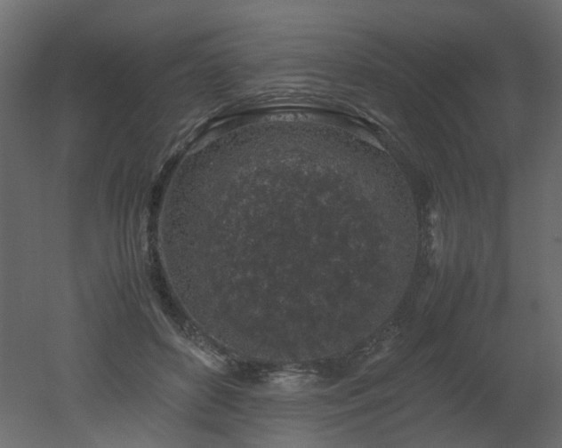 X0000051880504200506241417