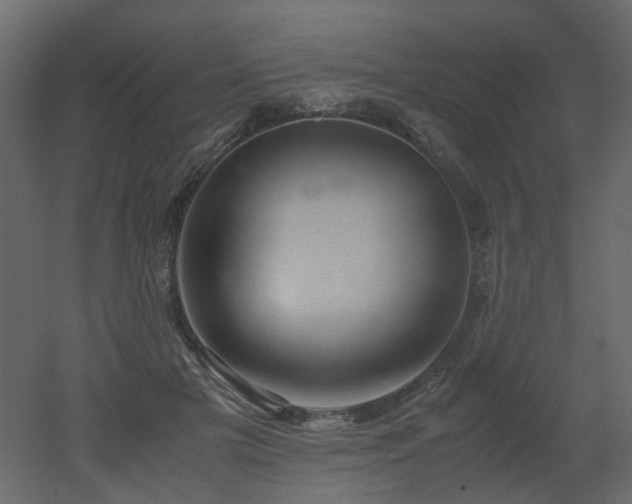 X0000051880505200506241417