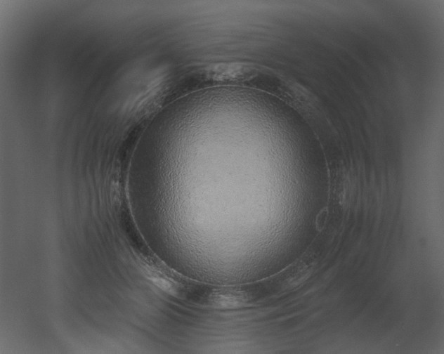 X0000051880510200506241417