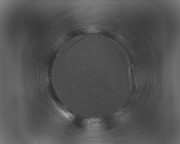 X0000051880512200506241417