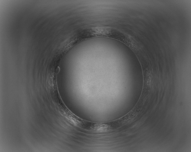 X0000051880514200506241417