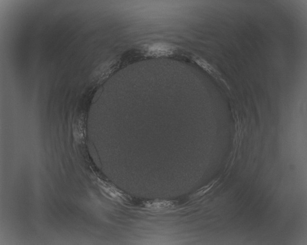 X0000051880517200506241417