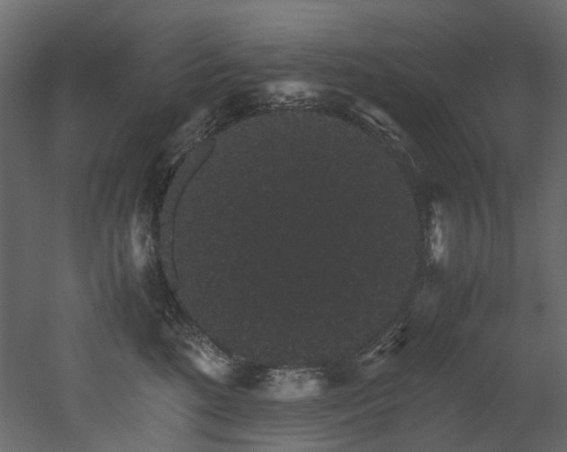 X0000051880520200506241417