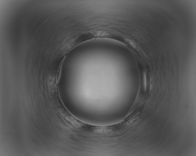 X0000051880521200506241417