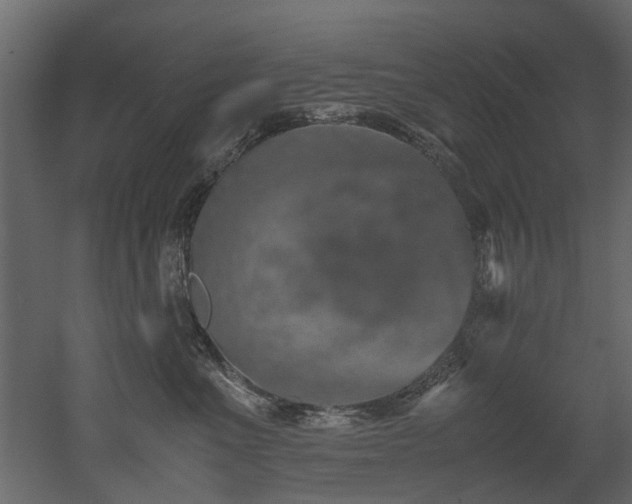 X0000051880523200506241417