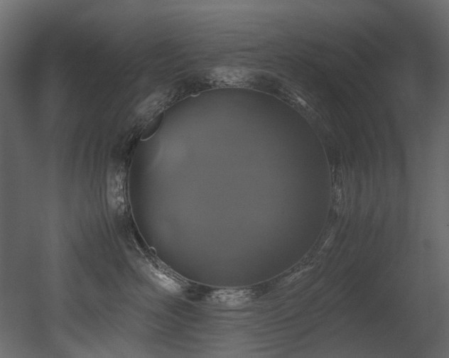 X0000051880526200506241417