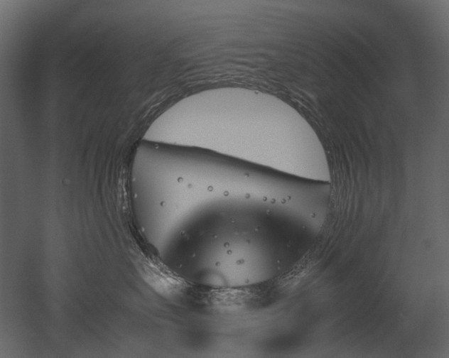 X0000051880527200506241417