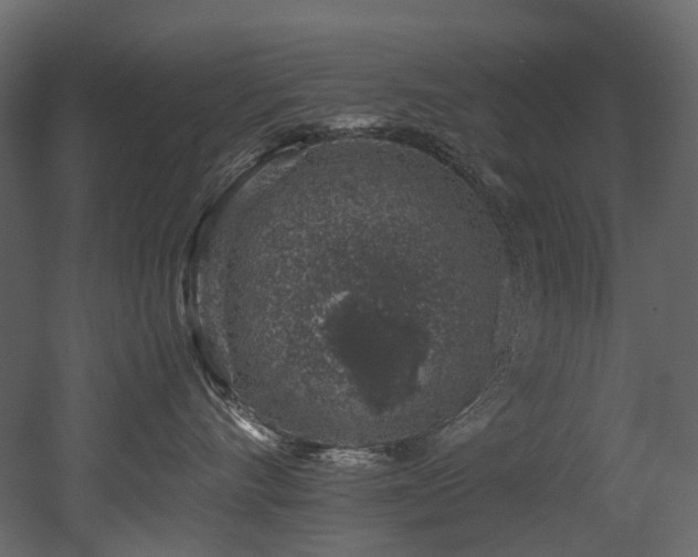 X0000051880528200506241417