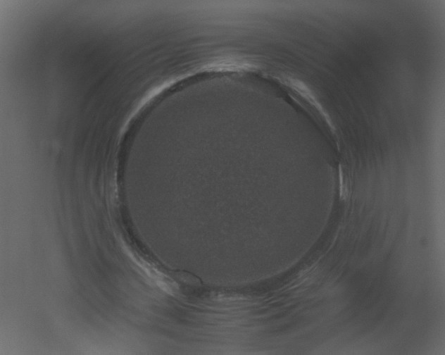 X0000051880531200506241416