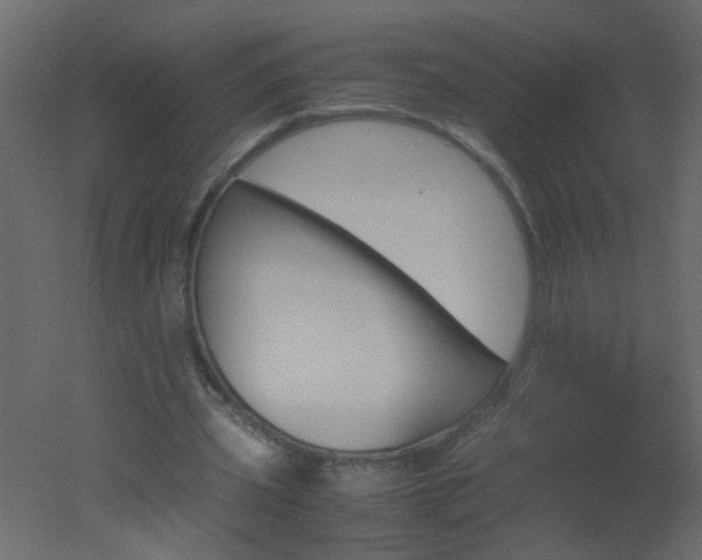 X0000051880533200506241416